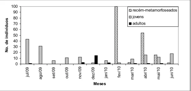 Figura 8 - Distribuição das classes de tamanho de R. hoogmoedi no município de Guaramiranga entre julho/09 e  junho/10