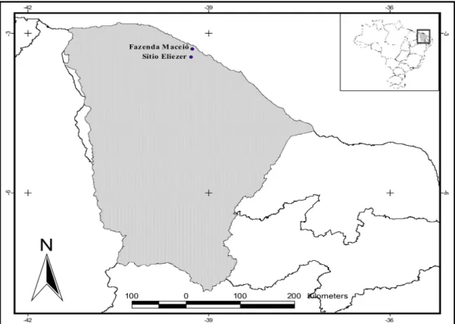 Figura 2 – Mapa de localização dos pontos de coleta no município de São Gonçalo do Amarante, Ceará, Brasil