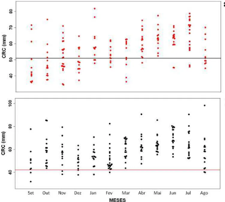 Figura 7 – Distribuição mensal do tamanho corporal de fêmeas (a) e machos (b) de C. ocellifer de uma área de  Tabuleiro litorâneo do município de São Gonçalo do Amarante, Ceará, Brasil, de setembro de 2009 a agosto de  2010