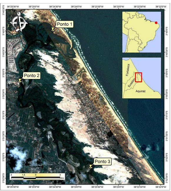 Figura 1.1 – Localização dos pontos de coleta no manguezal do Rio Pacoti – CE. 