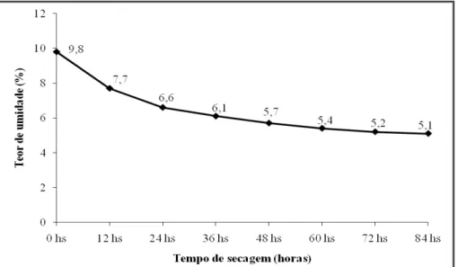 Figura  1  –   Curva  de  secagem  representando  o  comportamento  do  teor  de  água  das  sementes  de  Piptadenia  stipulacea em função do tempo de secagem