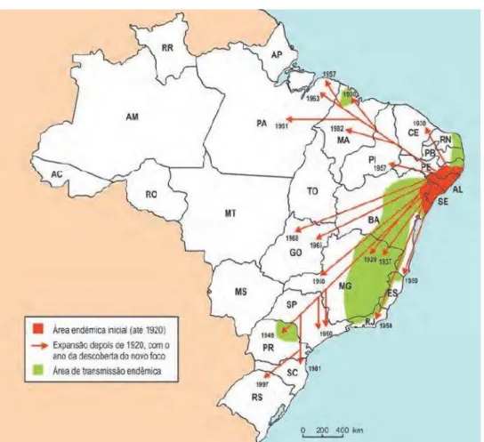 Figura 7  –  Expansão da esquistossomose mansoni no Brasil. 