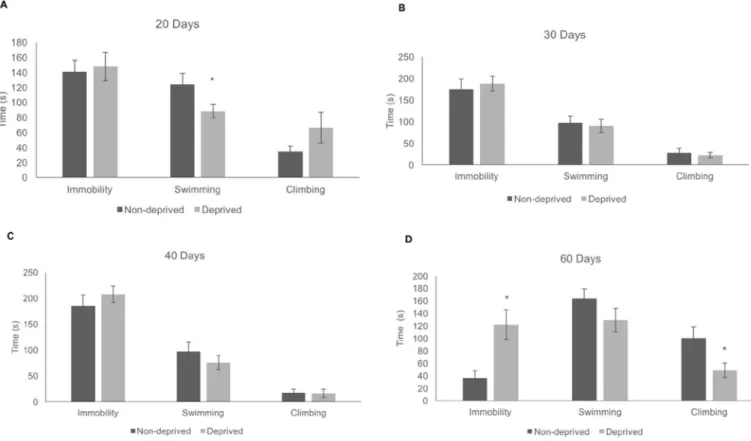 Fig. 2. Effects of the MCD on the immobility, climbing and swimming time of rats subjected to the FST at 20 (A), 30 (B), 40 (C) and 60 (D) PND, respectively
