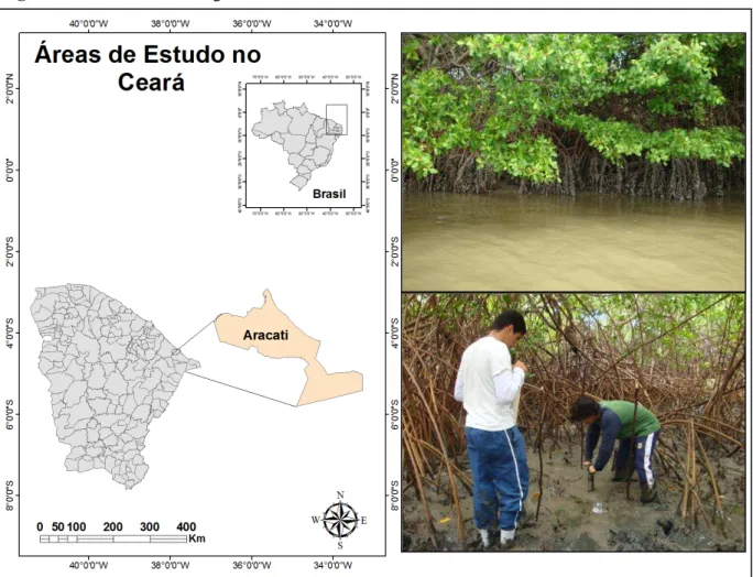 Figura 3  –  Estuário do rio Jaguaribe 