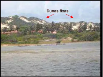 FIGURA  20 – Cordão de dunas fixas à retaguarda  de um ambiente aquático.                                           