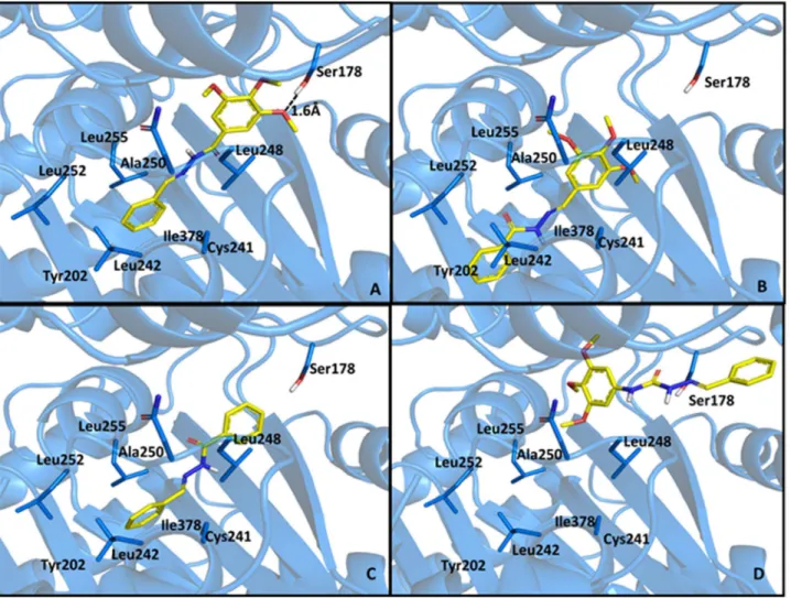 Table 4. Antiproliferative activity of compounds CA-4, 5b and 9–12 against HL-60, SF295, HCT-8 and MDA-MB435 tumor cells.