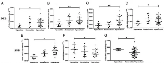 Figure 2 Plots of ATM , LIG4 and ERCC8 gene ampli ﬁ cation analysis compared with the presence of chromosomal abnormalities in patients with hypocellular myelodysplastic syndrome