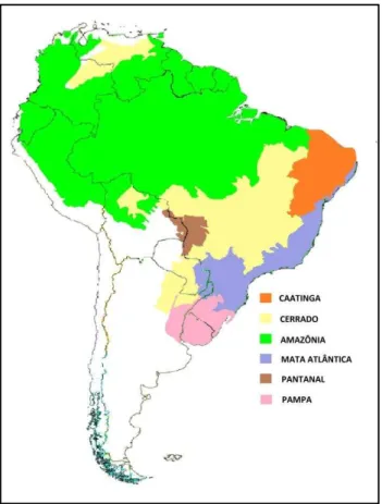 Figura 1 – Apresentação da distribuição territorial dos biomas no Brasil. 
