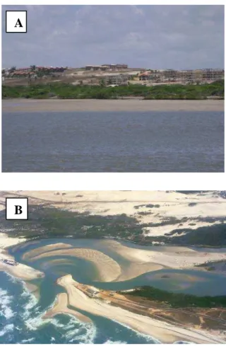 Figura  4:  Impactos  sofridos  na  área  do  Manguezal  do  rio  Pacoti.  A  –   Empreendimentos  imobiliários  às  margens  do  rio,  B  – Assoreamento  na  foz  do  Rio  Pacoti