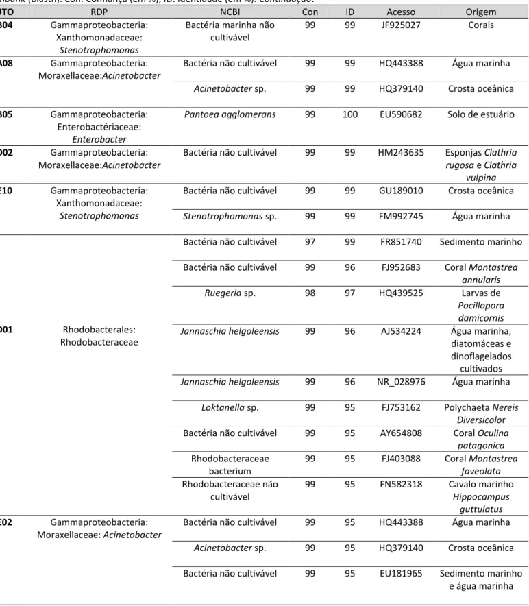 Tabela  A:  Afiliação  filogenética  das  UTOs  encontradas  em  P.  caribaeorum,  classificadas  usando  os  bancos  de  dados  RDP  e  Genbank (Blastn)