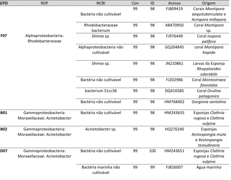 Tabela A: Afiliação filogenética das UTOs encontradas em P. caribaeorum, classificadas usando os bancos de dados RDP e  Genbank (Blastn)