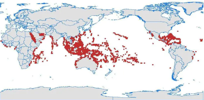 Figura 1: Distribuição mundial dos recifes de coral. Fonte: Institute for Marine Remote Sensing, University of South  Florida