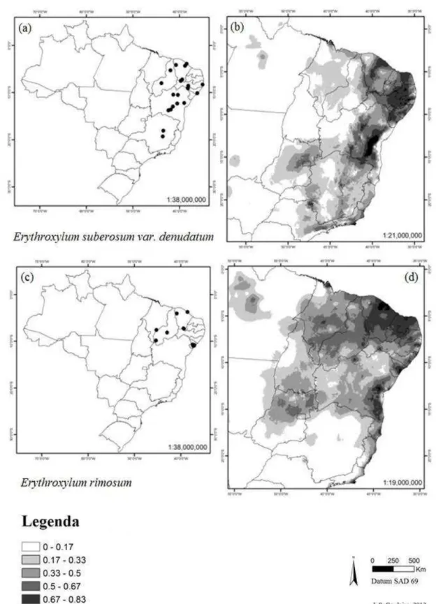 Figura 7 Distribuição das espécies Erythroxylum  suberosum  var.  denudatum e E.  rimosum  em território  brasileiro