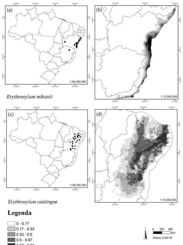 Figura  10  Distribuição  das  espécies  Erythroxylum  mikanii  e  E.  caatingae  em  território  brasileiro