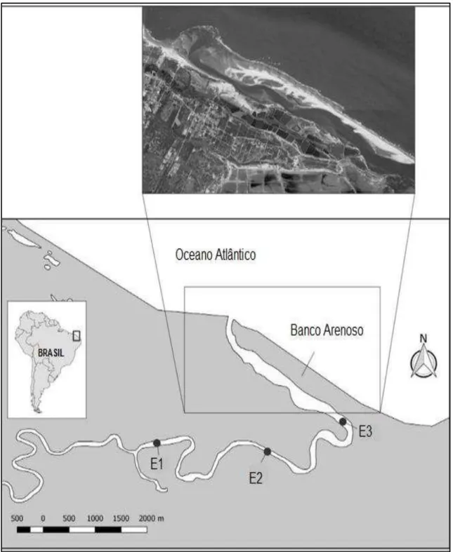 Figura 4: Área de estudo e estações de coleta no estuário do Rio Piranji (CE). 