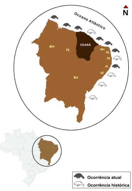 FIGURA 7 - Mapa evidenciando a distribuição histórica e atual do peixe-boi marinho,  Trichechus manatus manatus, no Nordeste do Brasil.