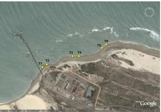Figura 1.2: Imagem de satélite da área de coleta de dados na praia de Paracuru-Ce. 