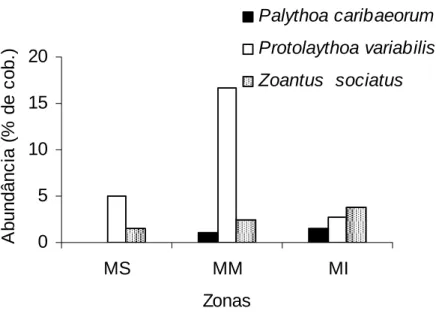 Figura 1.6: Abundância relativa das três espécies de zoantídeos nas zonas de  mesolitoral: MS: Mesolitoral Superior; MM: mesolitoral Médio; MI: Mesolitoral Inferior