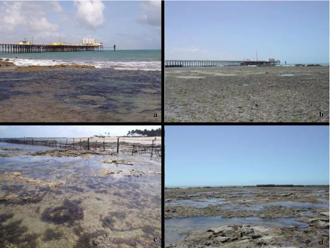 Figura 2: Fotos da área de coleta, entre o terminal petrolífero da Petrobrás (a e b) e o primeiro  curral de pesca da praia da Pedra Rachada (c e d).
