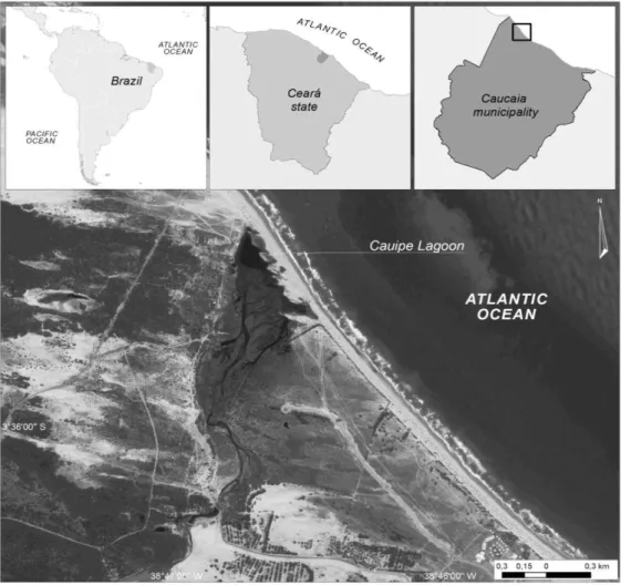 Figura 1. Mapa de localização da área de amostragem situada no Nordeste do Brasil 