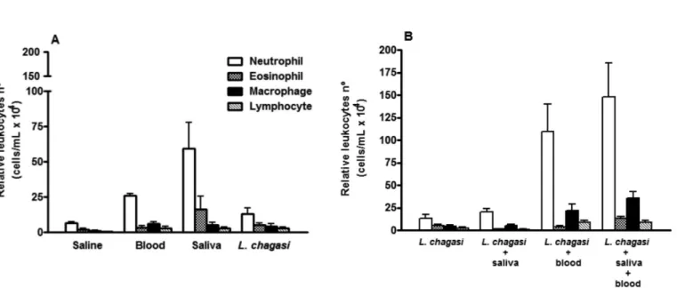 Fig. 2 - Total number of neutrophils, macrophages, eosinophils, and lymphocytes accumulated in air pouches in response to (A) L