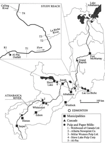 Fig. 1. Location map of the Athabasca River, with indication of the study reach