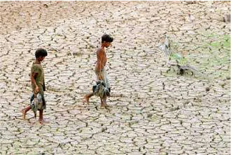 Figura 9 -  As  secas  podem  durar  vários  anos,  com efeitos devastadores na  agricultura.