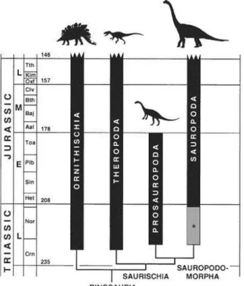 Figura  2.  Distribuição  temporal  e  relações  filogenéticas  das  principais  linhagens  de  dinossauros  no  Triássico  e  Jurássico (Wilson, 2002)
