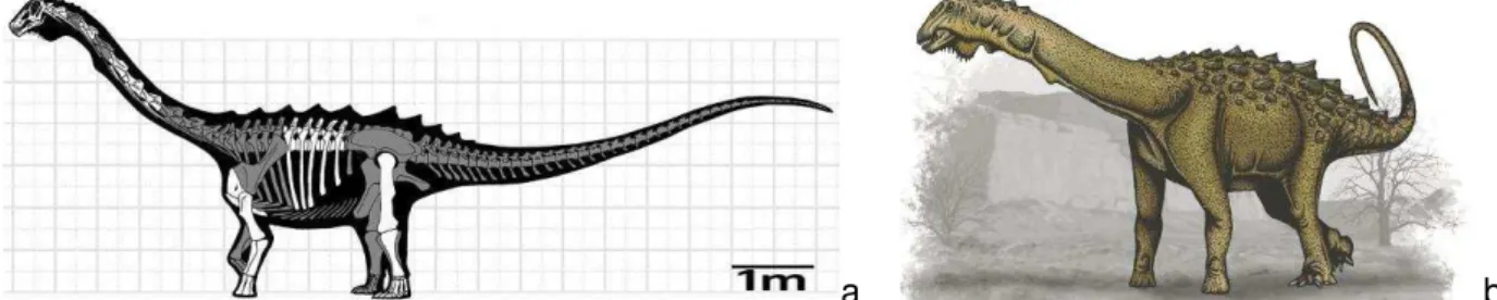 Figura 10.  Tapuiassaurus  macedoi: a - ossos encontrados em branco e reconstruídos em cinza (http://felipe-elias- (http://felipe-elias-portfolio.blogspot.com); b - reconstrução no desenho de Felipe Alves Elias (http://felipe-elias-portfolio.blogspot.com)