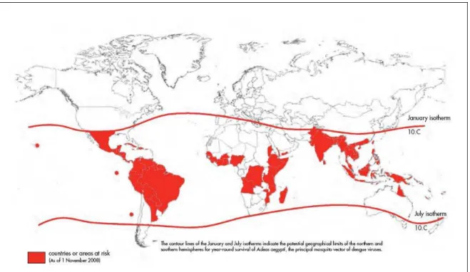 Figura 1. Área de risco de dengue em nível global, em 2008.  