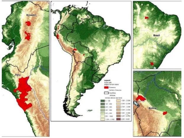 Figura 2  –  Países da América Latina com áreas em destaque de casos de peste humana, 2000  a 2012