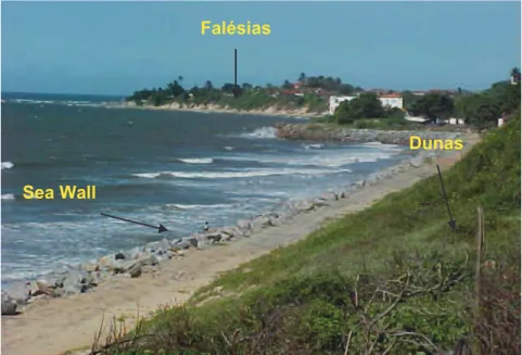 Figura 18: Urbanização intensa da atual pós-praia com desmoronamento dos muros de  proteção à erosão costeira implantados pelos donos dos imóveis