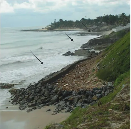 Figura 19: Muros de proteção à erosão costeira implantados pelos donos dos imóveis na  praia do Pacheco