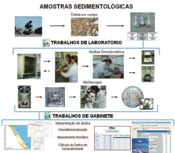 Figura 15: Esquema das análises feitas nos sedimentos coletados em campo. 