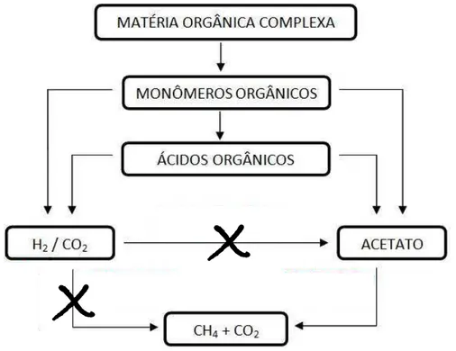 Figura 2.3 – Rotas metabólicas de fermentação de glicerol até compostos mais simples 