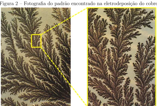 Figura 2 – Fotografia do padr˜ao encontrado na eletrodeposi¸c˜ao do cobre