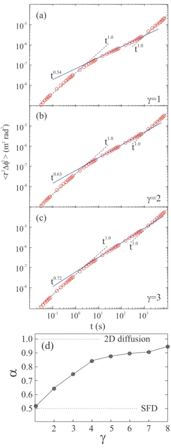 Figure 21 – (a)–(c): Log-log plot of the mean square displacement (MSD) h ∆ φ 2 i as a function of time for different values of the “effective” temperature γ = (a) 1, (b) 2, and (c) 3
