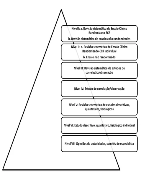 Figura 2 - Hierarquia das evidências. 