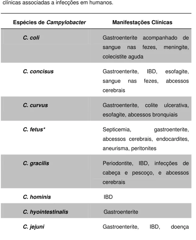 TABELA  1  -  Principais  espécies  de  Campylobacter  com  as  manifestações  clínicas associadas a infecções em humanos