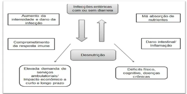 Figura 1: Ciclo vicioso Diarreia x Desnutrição: Relações causais e consequências para a  sociedade