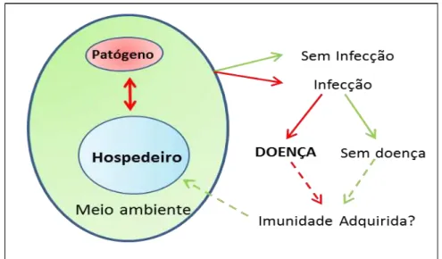 Figura 6: Representação esquemática das interações patógeno-hospedeiro nas  campilobacteriores