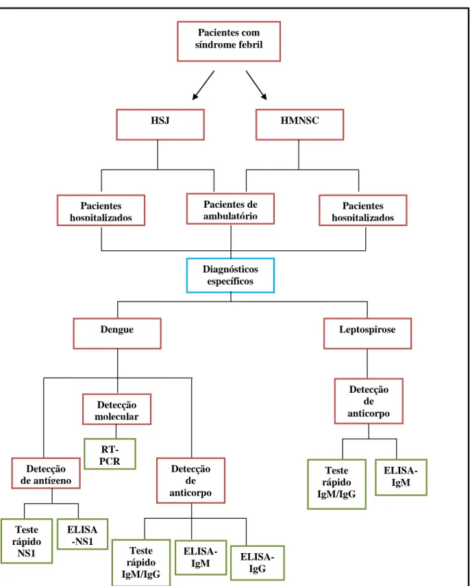 Figura 8. Fluxograma dos  diagnósticos realizados nos pacientes com síndrome febril  aguda, atendidos no  ambulatório e pacientes hospitalizados acolhidos nos hospitais HSJ e HMNSC