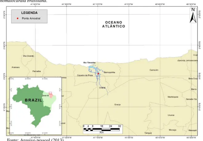 Figura  1  -  Mapa do Estuário do Rio Timonha, Ceará, mostrando a localização do ponto de coleta de  Anomalocardia brasiliana