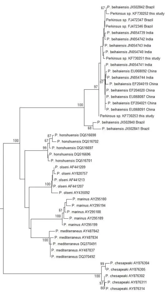 Figure  3  –  Árvore filogenética pelo método de Neighbor-Joining com base em sequências  de 629 pb (ITS1  parcial, 5.8S completo e ITS2 parcial) para as espécies de Perkinsus