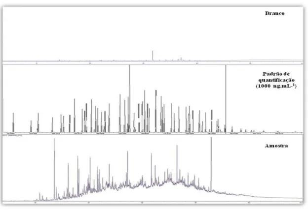 Figura 10. Cromatogramas do branco (solvente), padrão analítico e amostra obtidos por  GC