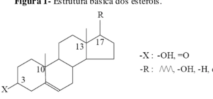 Figur a 1- Estrutura básica dos esteróis. 