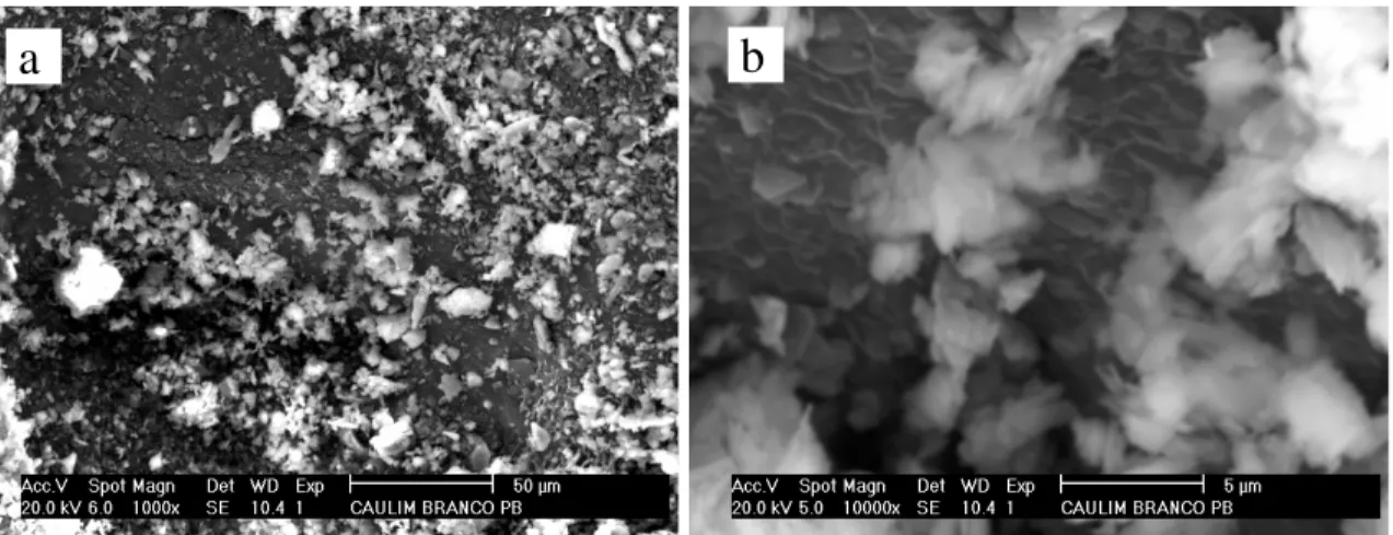 FIGURA 14 – Micrografias eletrônicas de varredura do caulim com ampliações de a) 1.000 X e b)  10.000 X