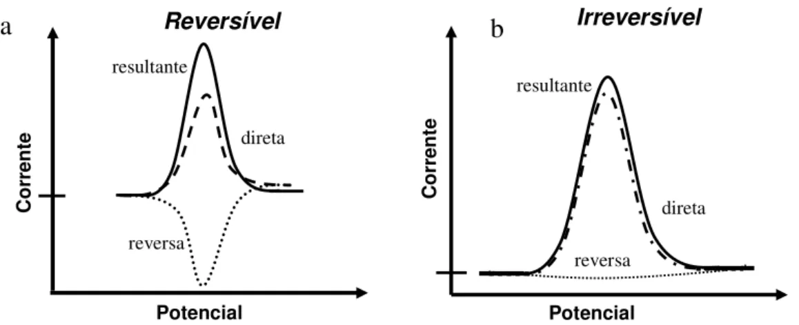 Figura 3: Esquema representativo para processo reversível e irreversível. 