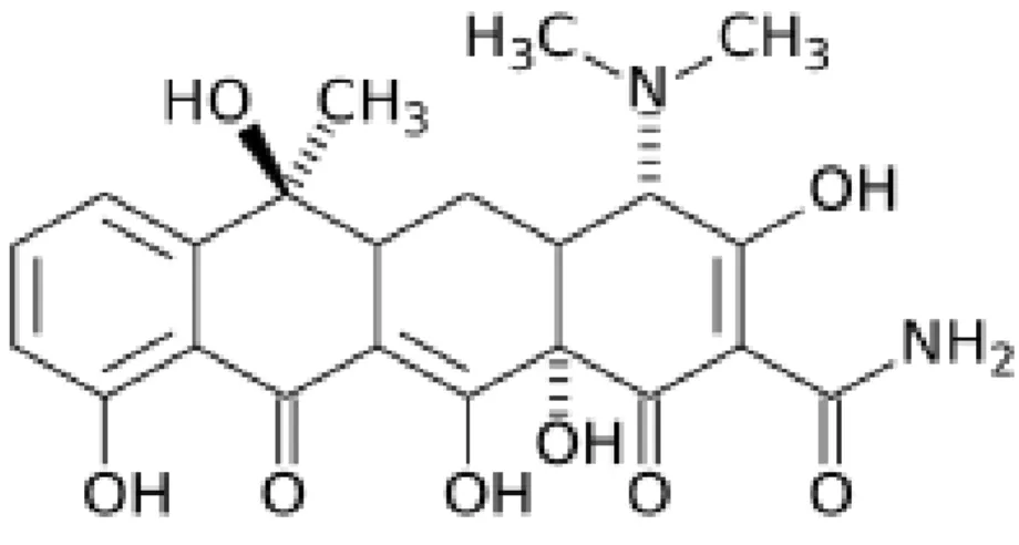 Figura 3: Estrutura Química da Tetraciclina 