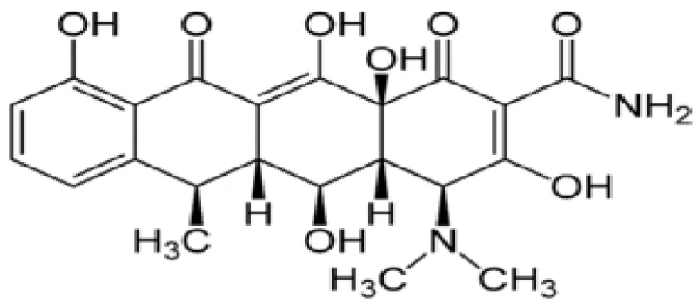 Figura 4: Estrutura Química da Doxiciclina 